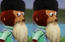 Muslim monkey Meme Template