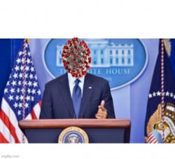 Coronavirus for President Meme Template