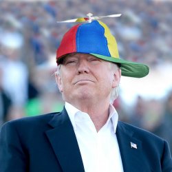 Because Trump in a Propeller Hat Meme Template