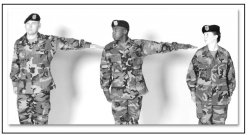 US Army Normal Interval Meme Template