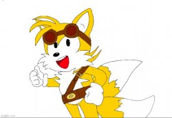 Sonic boom tails- Credit to .Miles for drawing it Meme Template