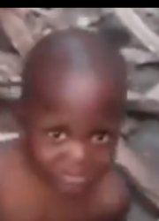 Nigg Meme Template