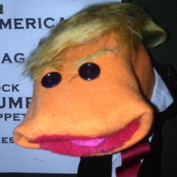 Donald Trump Sock Puppet Meme Template