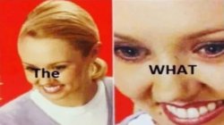 The WHAT Meme Template