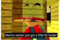 Mario's Wiener Meme Template