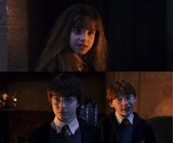 Hermione and her priorities Meme Template