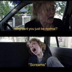 Why Can't You Just Be Normal Meme Template