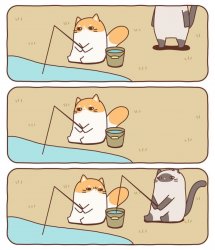 Fish-stealing cat Meme Template