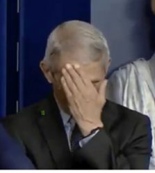 Fauci Facepalm Meme Template