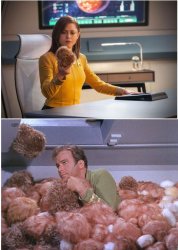 Tribbles Meme Template