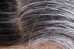 Gray hair roots Meme Template