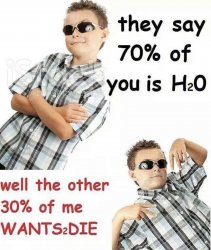 wants2die Meme Template
