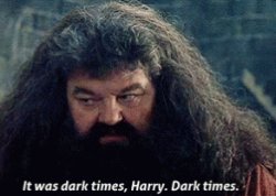 Hagrid dark times Meme Template
