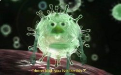 Corona virus Meme Template