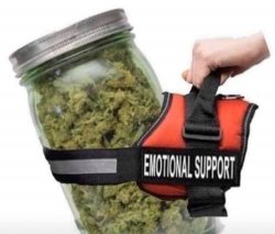 EMOTIONAL SUPPORT WEED Meme Template