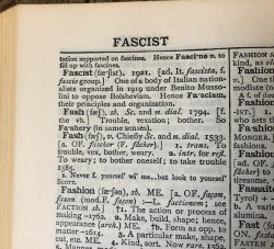 Fascist Definition as of 1921 Meme Template