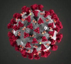 Coronavirus Meme Template