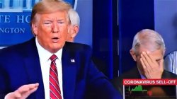 Trump talks bullshit, Dr. Anthony Fauci facepalm Meme Template