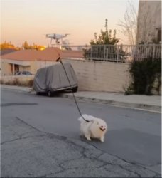 Drone walking dog Meme Template