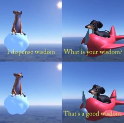 Wisdom dog Meme Template