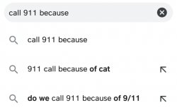911 cat Meme Template