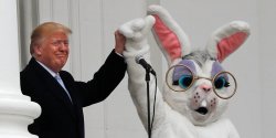 Trump Easter Bunny Meme Template