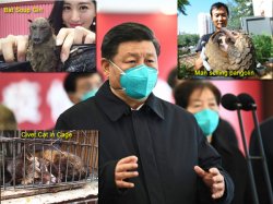 Xi Jinping - Read My Lips: No New COVID-19 Cases in China Meme Template