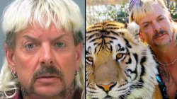 Joe exotic free Meme Template