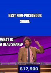 Dead snake Meme Template