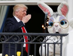 Trump & Bunny Meme Template