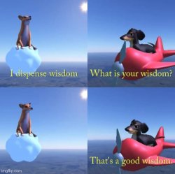 Wisdom dog Meme Template