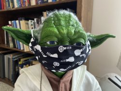 Yoda mask Meme Template