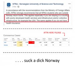 Norway sucks Meme Template