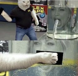 Woman Yelling At Cat Flex Tape Crossover Meme Template
