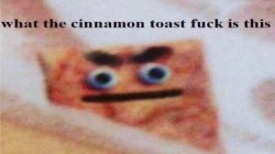 what the cinnamon toast... Meme Template