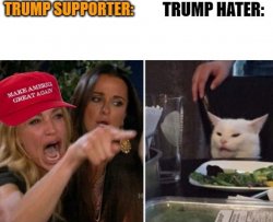 Woman Yelling At Cat Not Your President Don't Spend Stimulus Meme Template