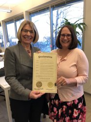 Urbana Mayor Diane Marlin and Champaign Mayor Deborah Feinen Meme Template