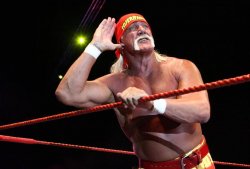 Halk Hogan Meme Template