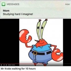 Mr Krabs vs Study Meme Template