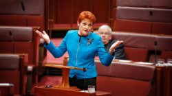 Pauline Hanson shrugs - I told you so "Swamped by Asians" Meme Template