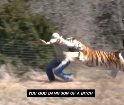 Tiger King son of a bitch Meme Template