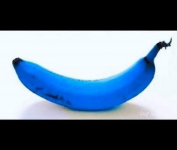 Blue Banana Meme Template