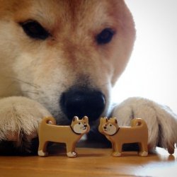 Doge Matches Two Toy Dogs Ebites Meme Template