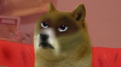 Grumpy Doge Meme Template