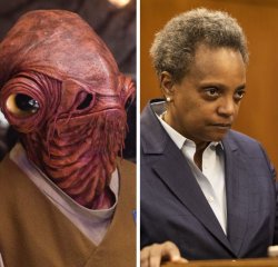 Where's Lori Lightfoot Meme Template