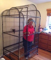 Granny in cage Meme Template