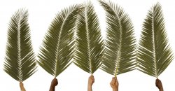 Palm Sunday Covid 19 Meme Template