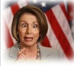 Pelosi is a TARD! Meme Template