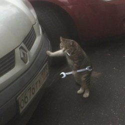 Cat Repairman Is Shocked Meme Template