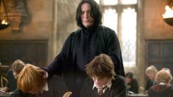 Severus Snape Meme Template